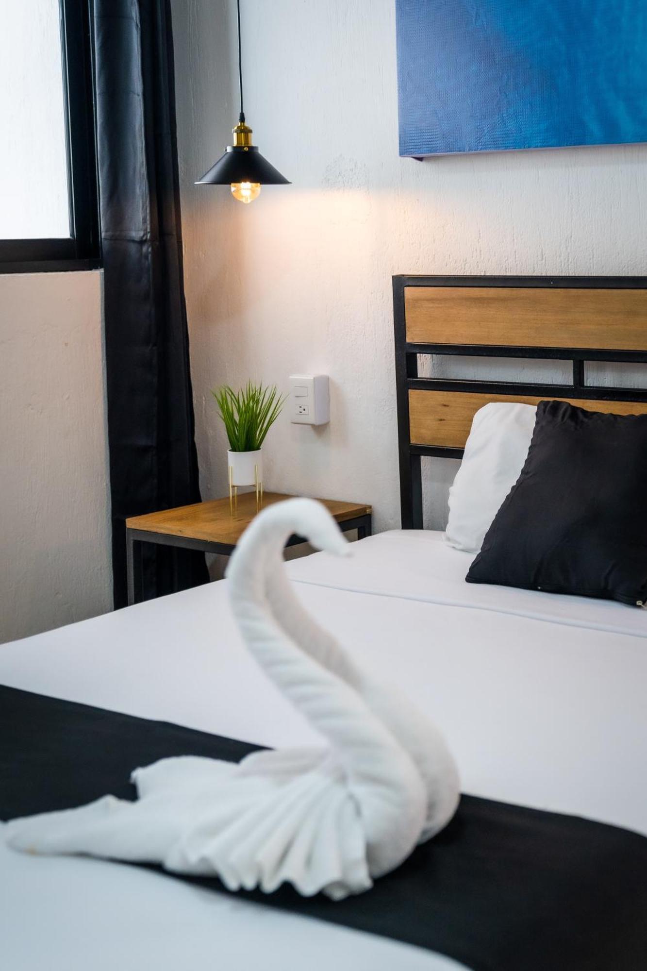 Casa Maca Otel Playa del Carmen Dış mekan fotoğraf