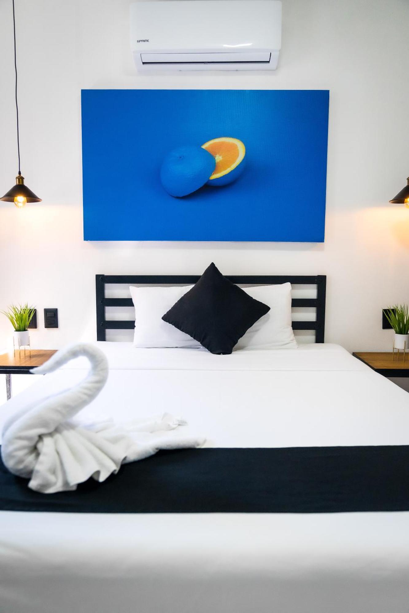 Casa Maca Otel Playa del Carmen Dış mekan fotoğraf